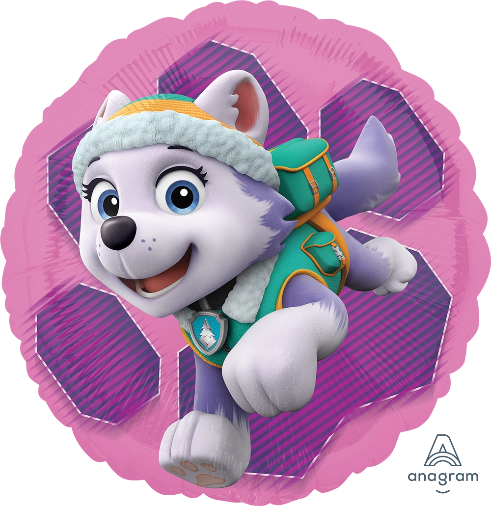 Anagram Paw Patrol Pink Skye & Everest Foil