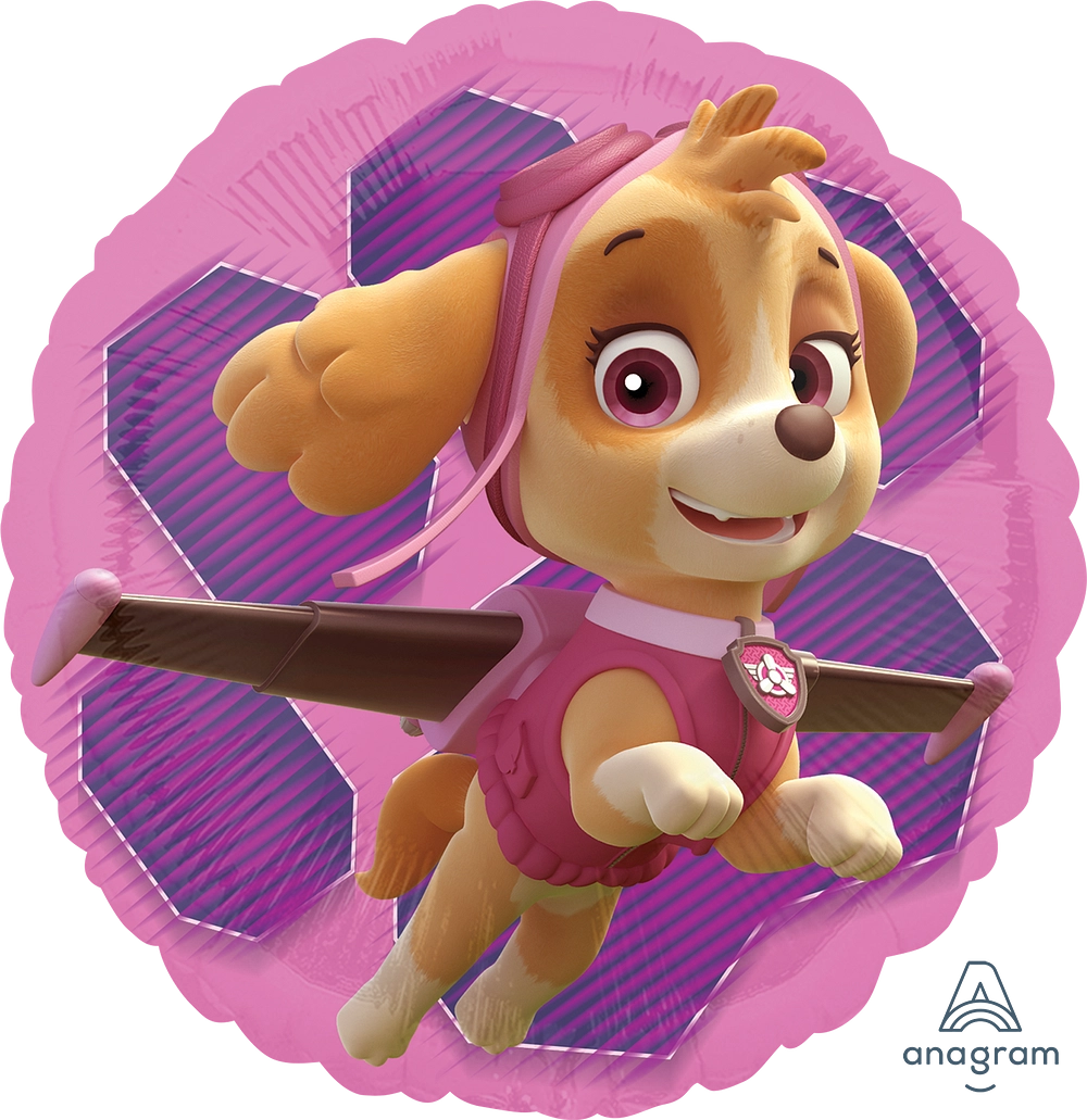 Anagram Paw Patrol Pink Skye & Everest Foil