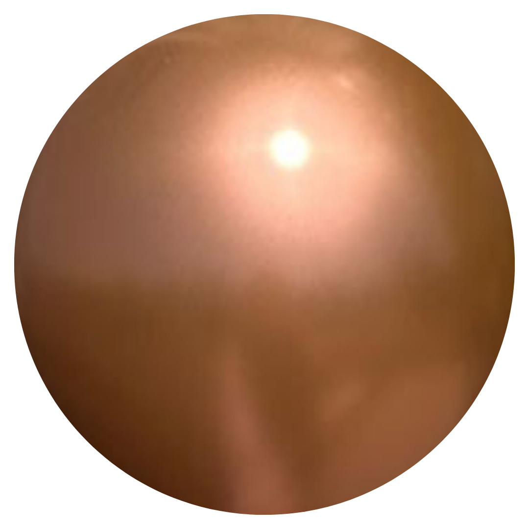 Kalisan Mirror Chrome Copper Modelling Balloons