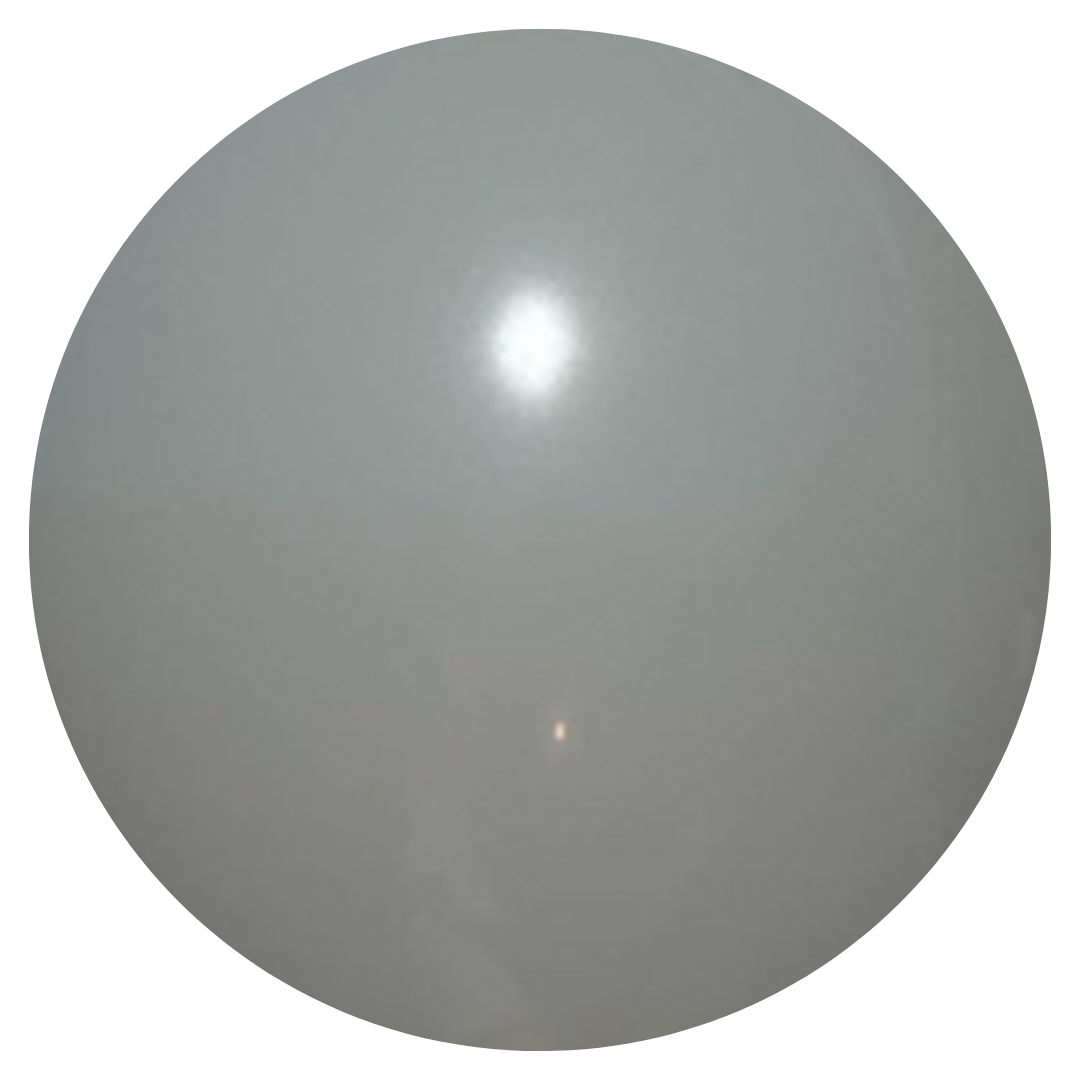 Prima Gray