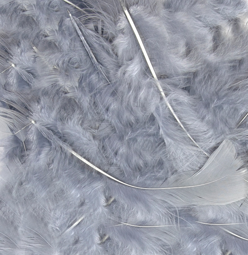 Eleganza Silver Craft Feathers