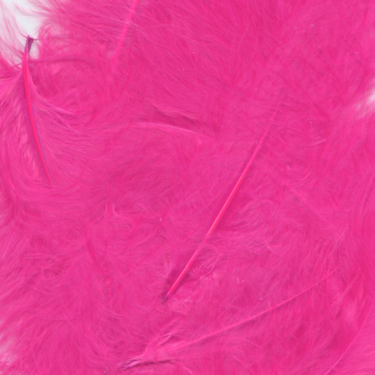 Eleganza Fuchsia Craft Feathers