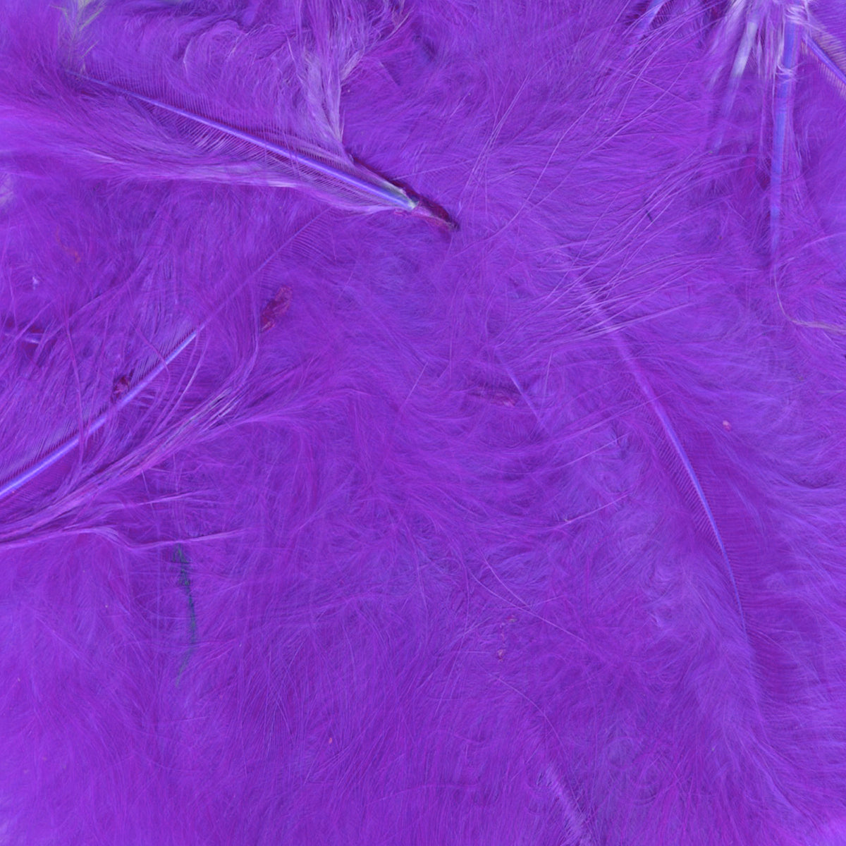 Eleganza Purple Craft Feathers