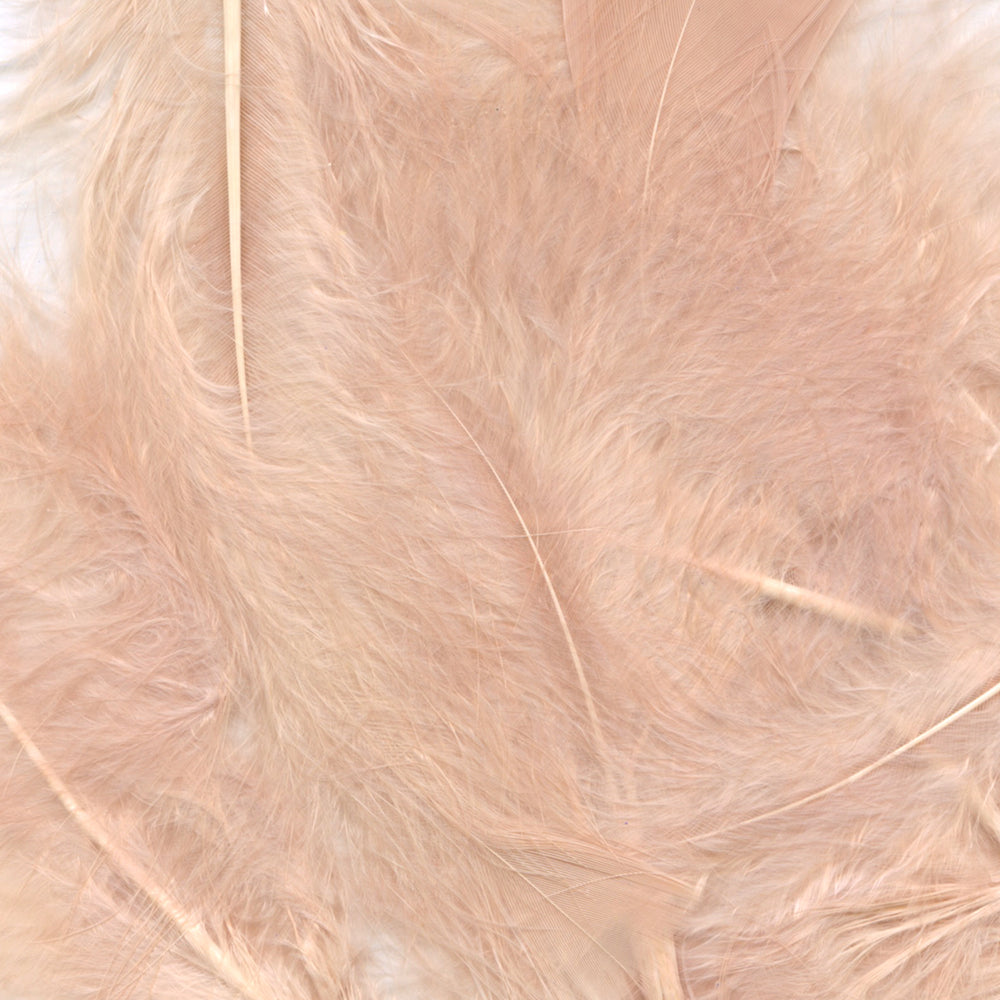 Eleganza Rose Gold Craft Feathers