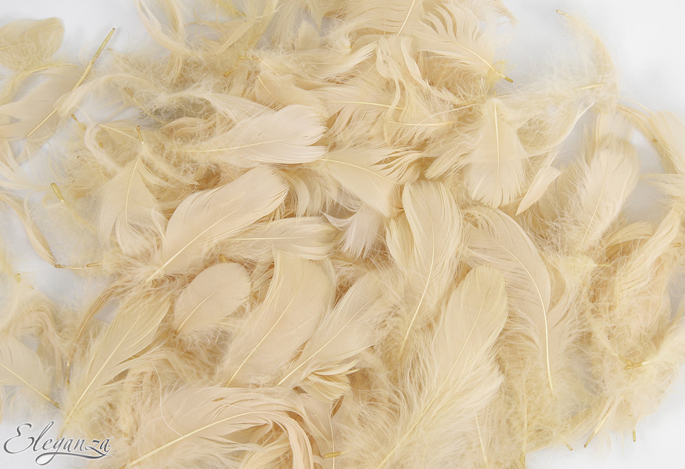 Eleganza Pampas Craft Feathers