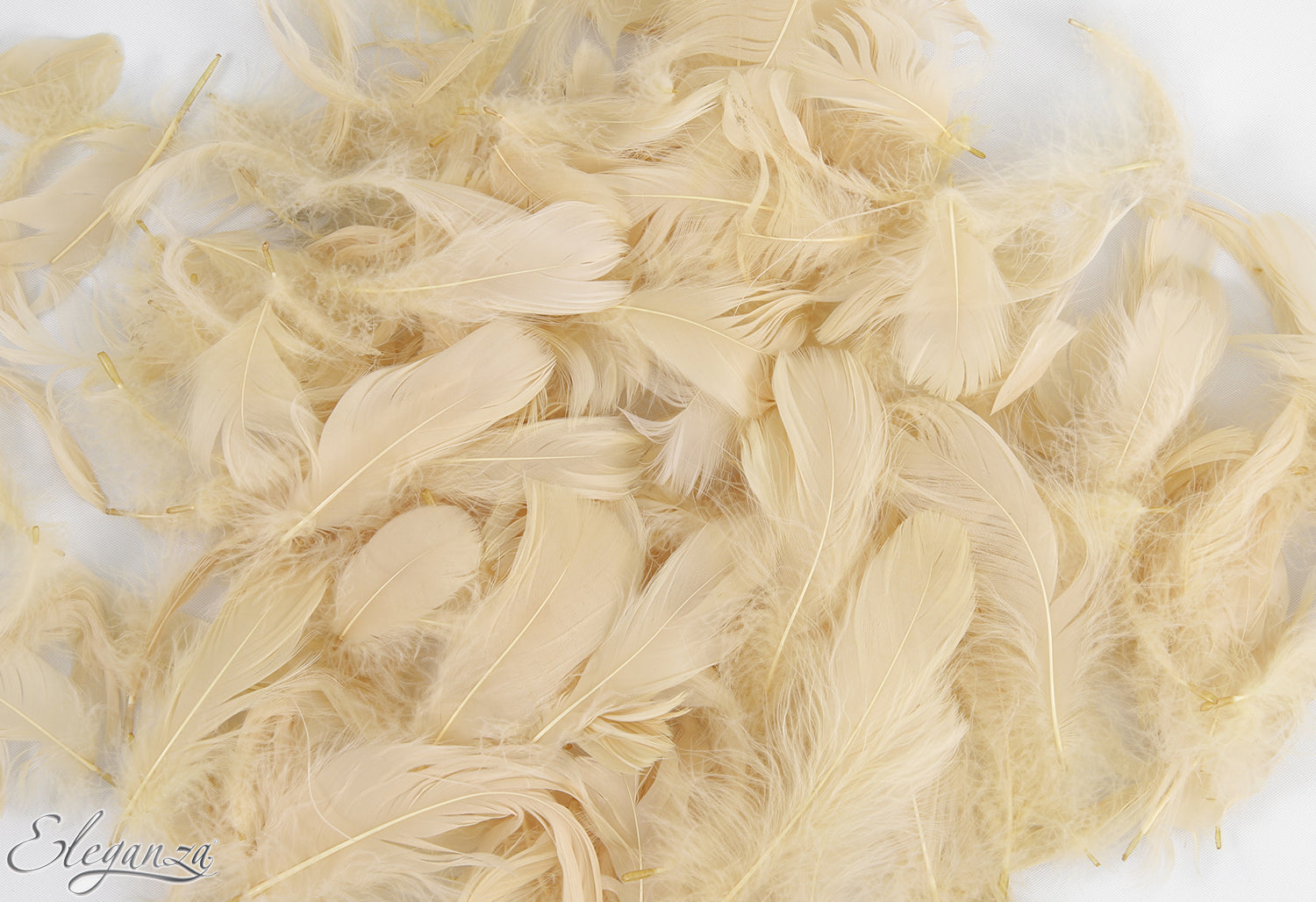 Eleganza Pampas Craft Feathers