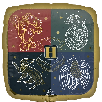 Anagram Harry Potter Foil