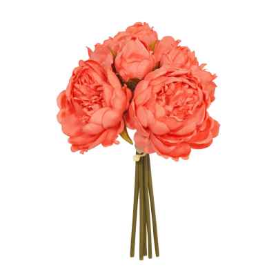 Coral Peonies