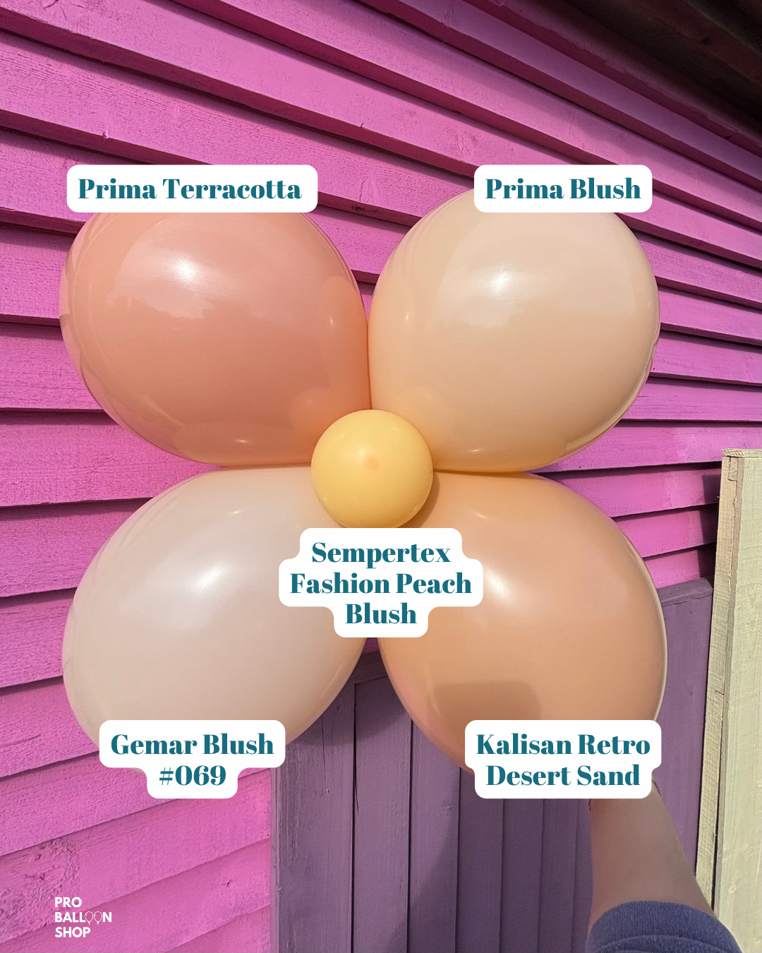 Desert_Blush_Colour_Combo