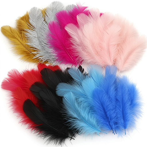 Eleganza Craft Feathers