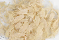 Eleganza Craft Feathers - pampus
