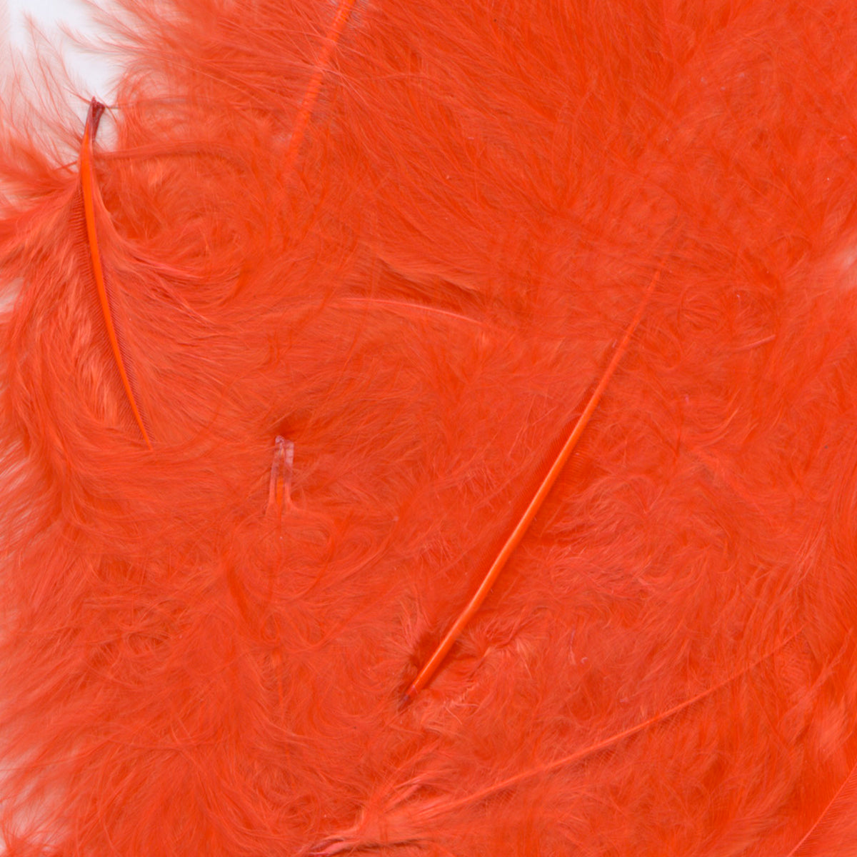 Eleganza Craft Feathers - red