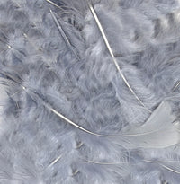 Eleganza Craft Feathers - silver
