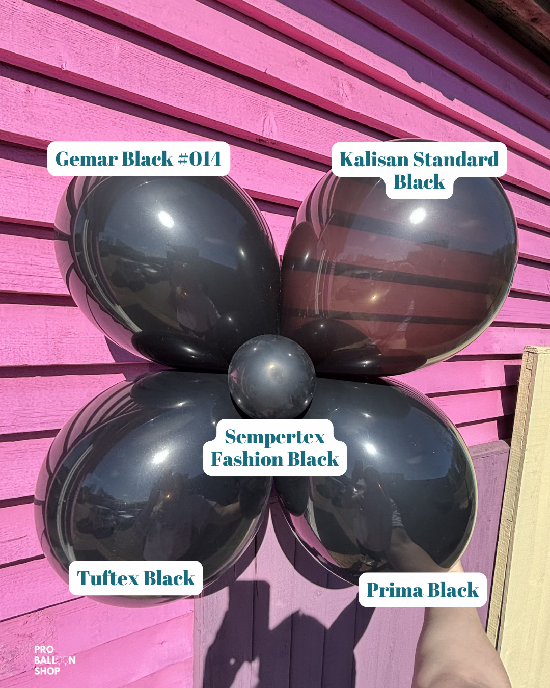 Gemar Black #014 – Pro Balloon Shop