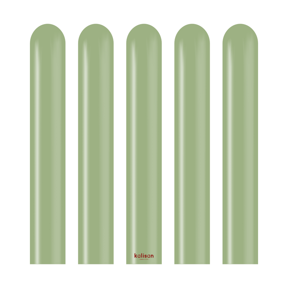 Kalisan Retro Eucalyptus Modelling Balloons