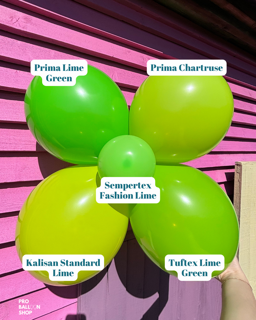 Lime_Green_Colour_Combo