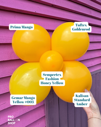 Mango_Yellow_Colour_Combo