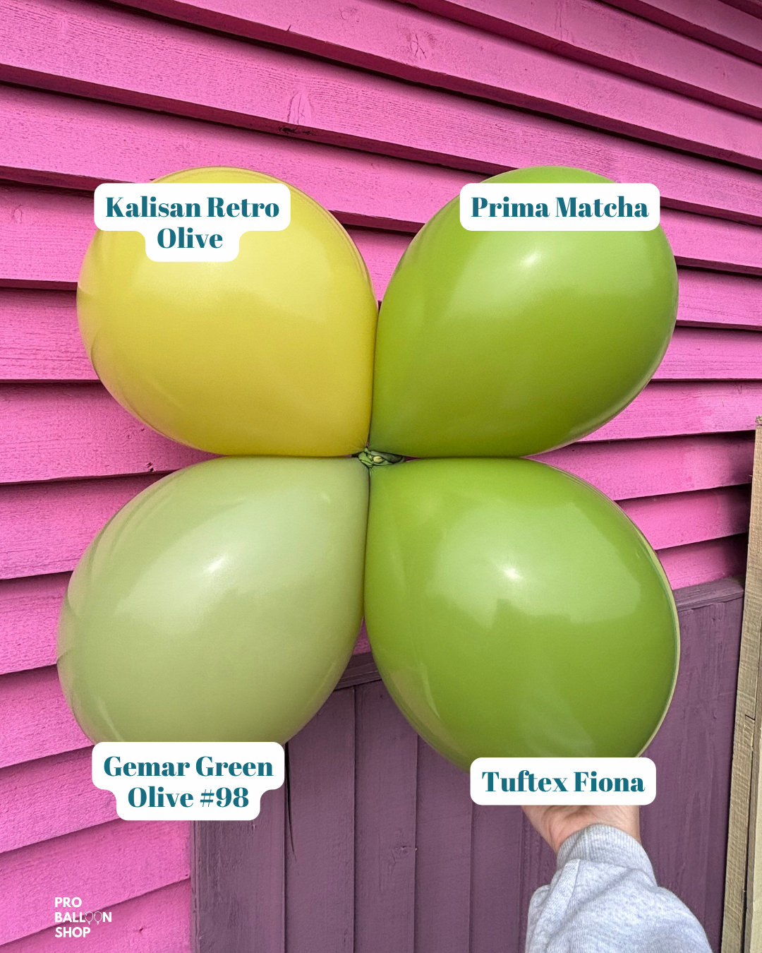 Olive_Colour_Combo