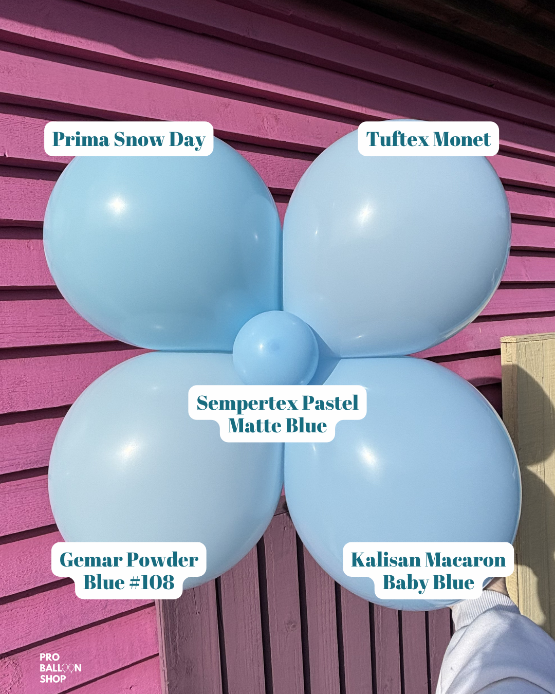 Powder_Blue_Colour_Combo