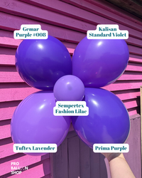 Purple_Colour_Combo