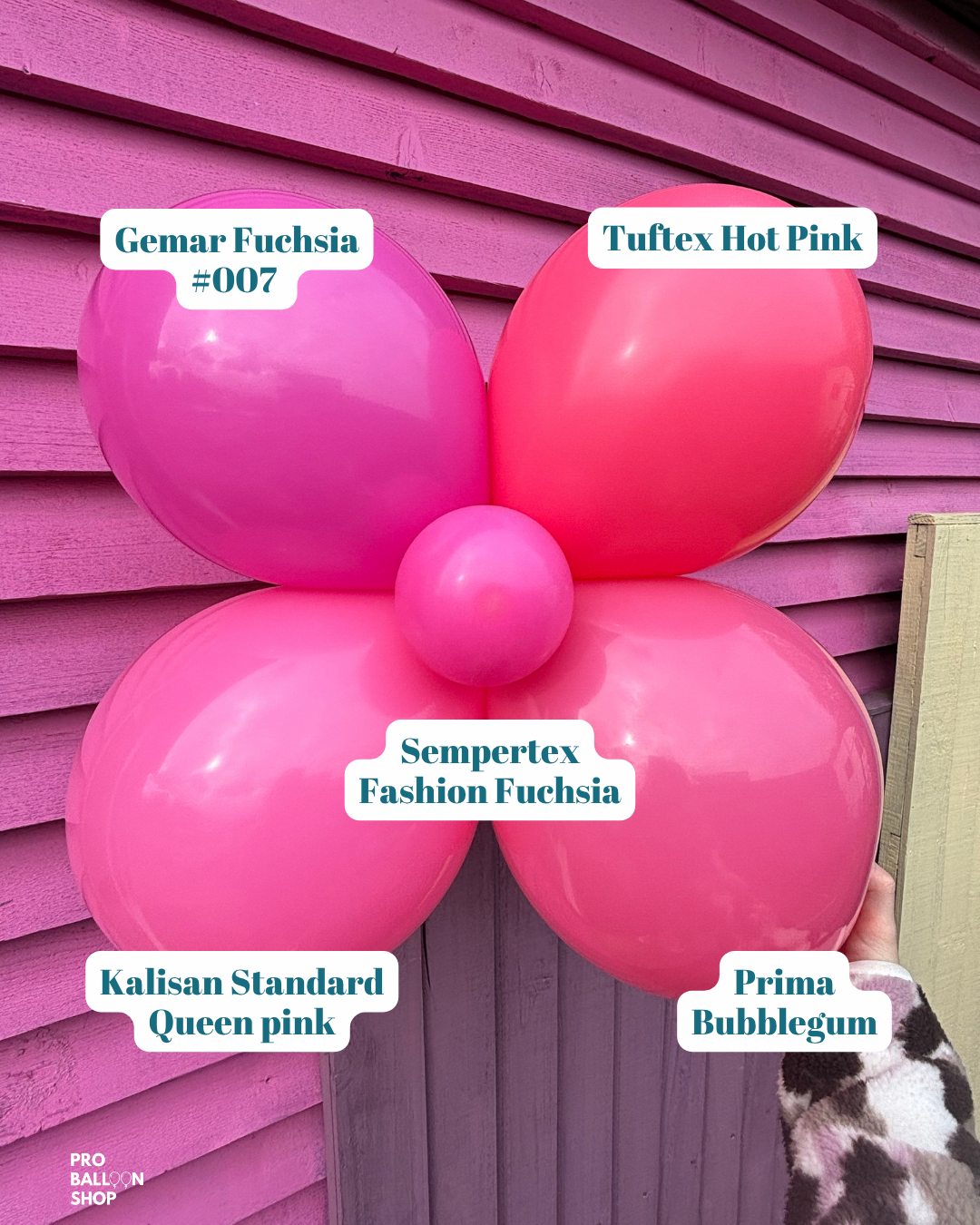 Queen_Pink_Colour_Combo