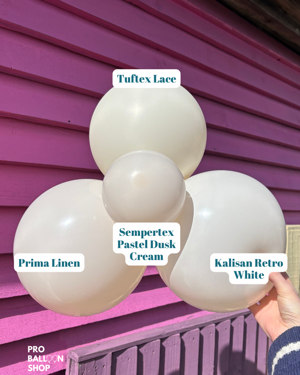 Kalisan Retro White – Pro Balloon Shop