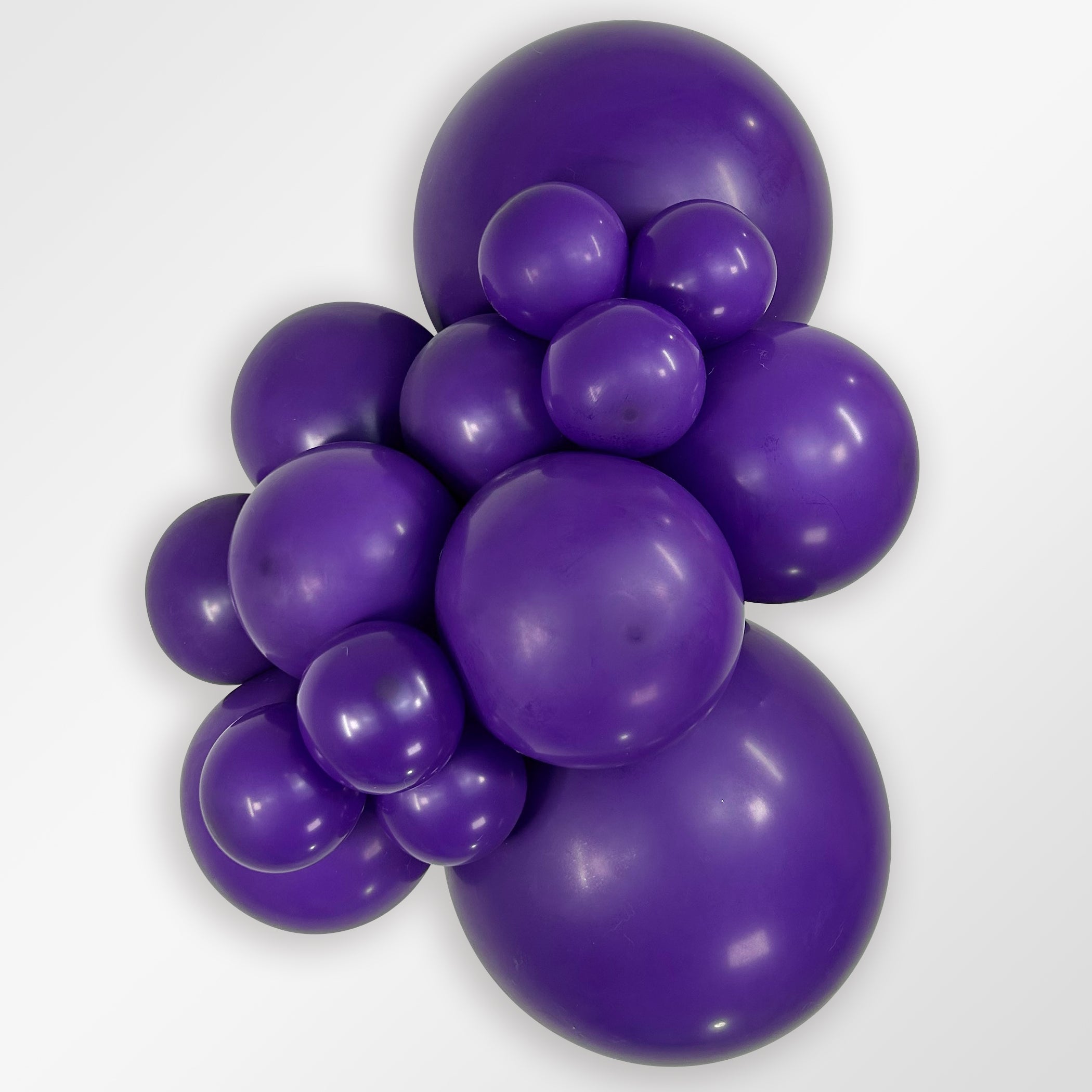 SempertexFashionVioletCluster1