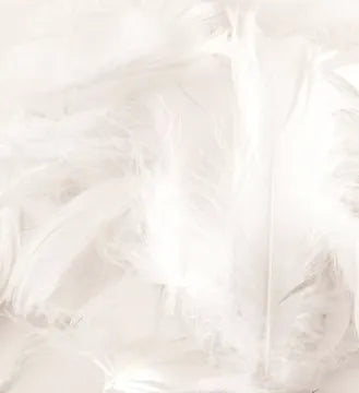 Eleganza Craft Feathers