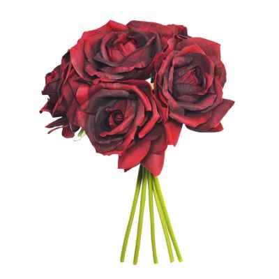 27CM Bordeaux Open Rose X 5