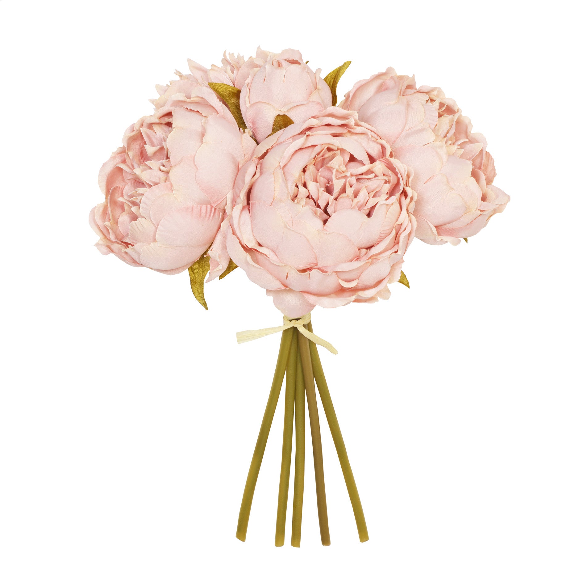 28CM Bisque Peony X 5