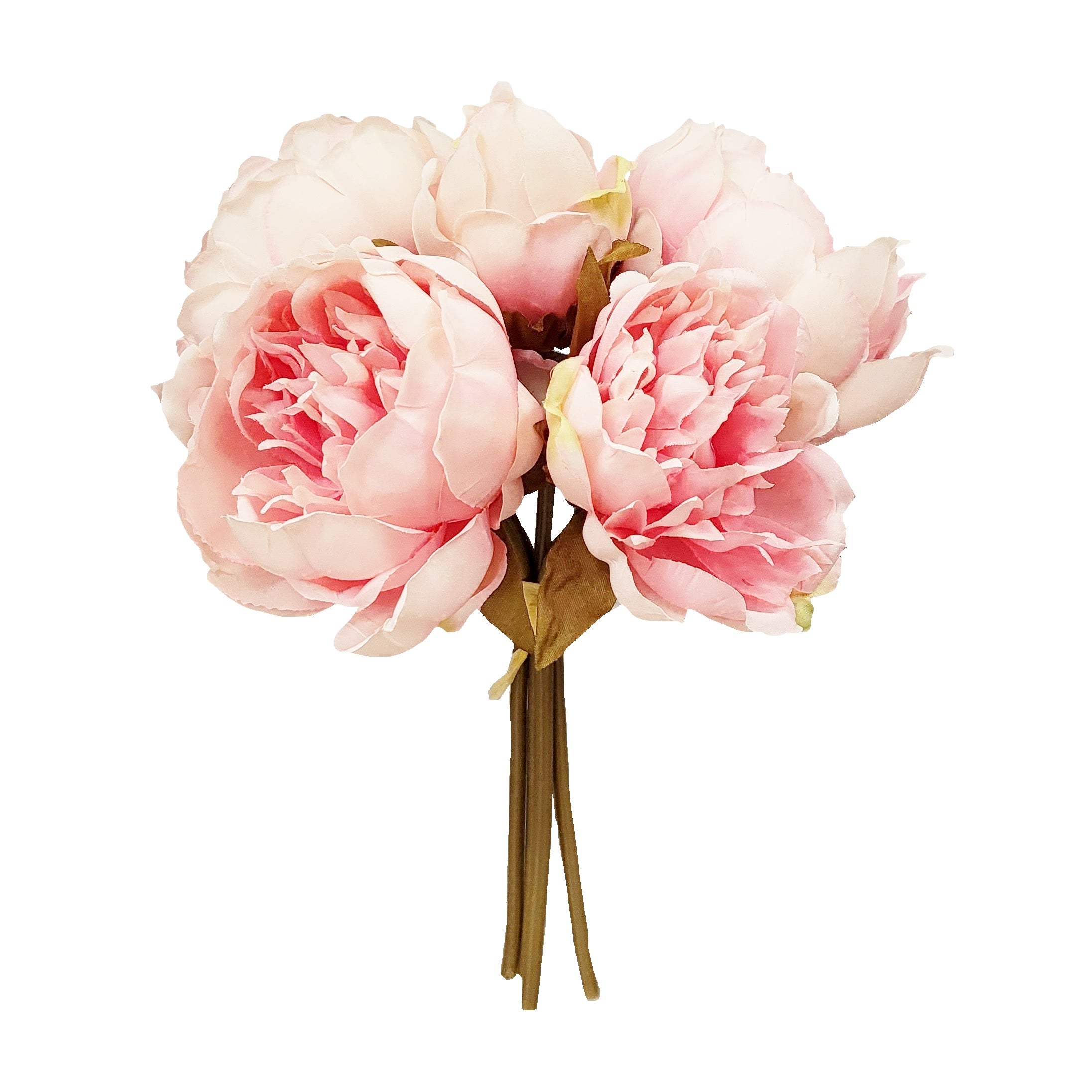 28CM Baby Pink Peony X 5