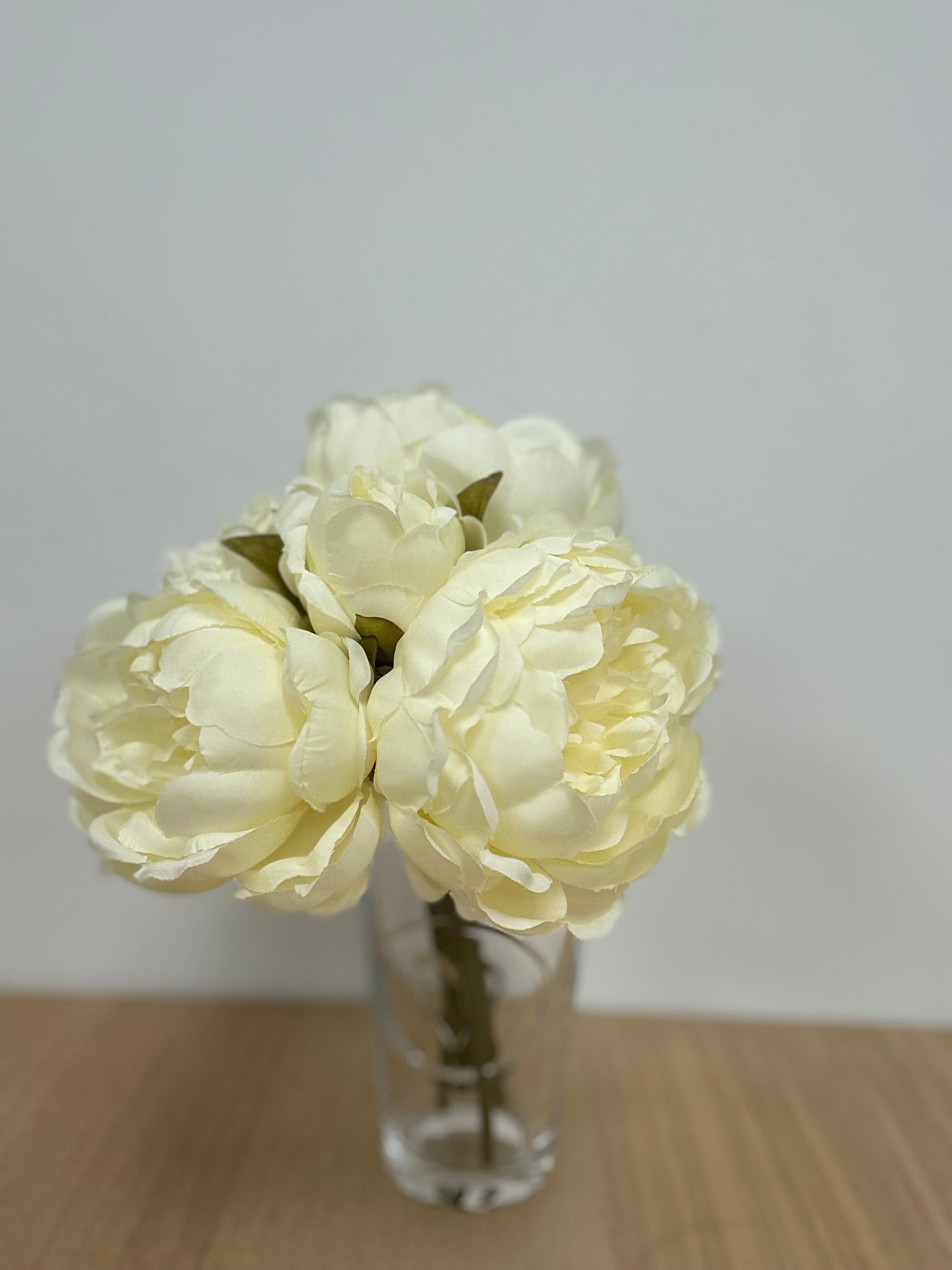 28CM Cream Peony X 5