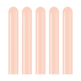 Kalisan Macaron Salmon Modelling Balloons