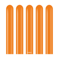 Kalisan Standard-Modelling-Orange-260