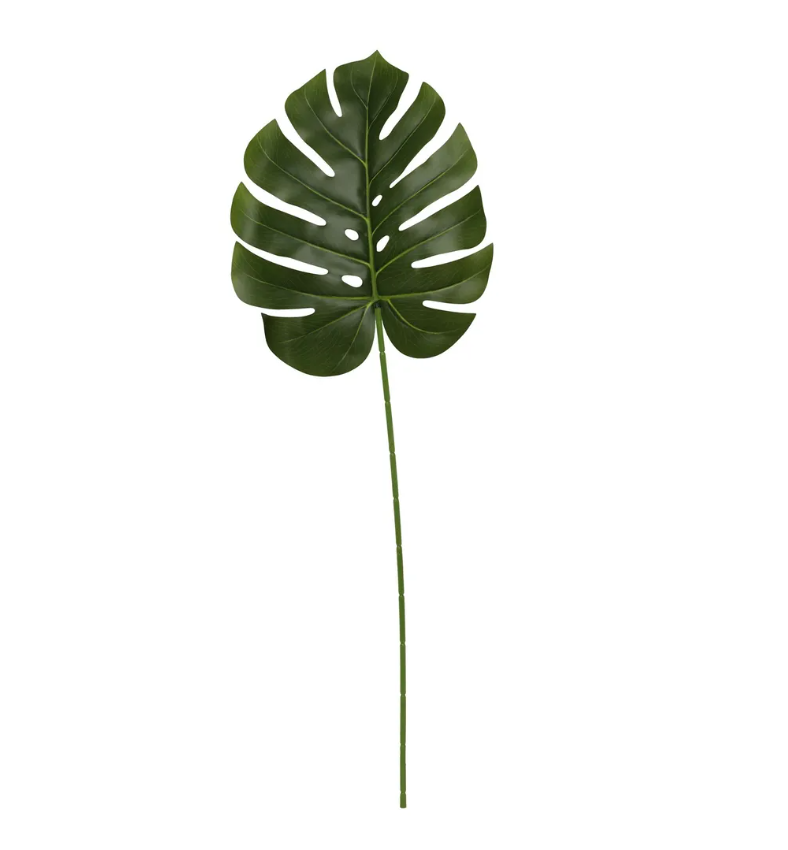 Large Monstera leaf 76cm