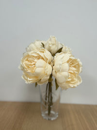 Light Peach Peonies_2