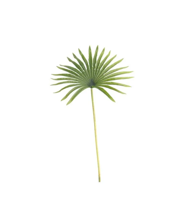 50cm Real Touch Fan Palm Green (24/288)