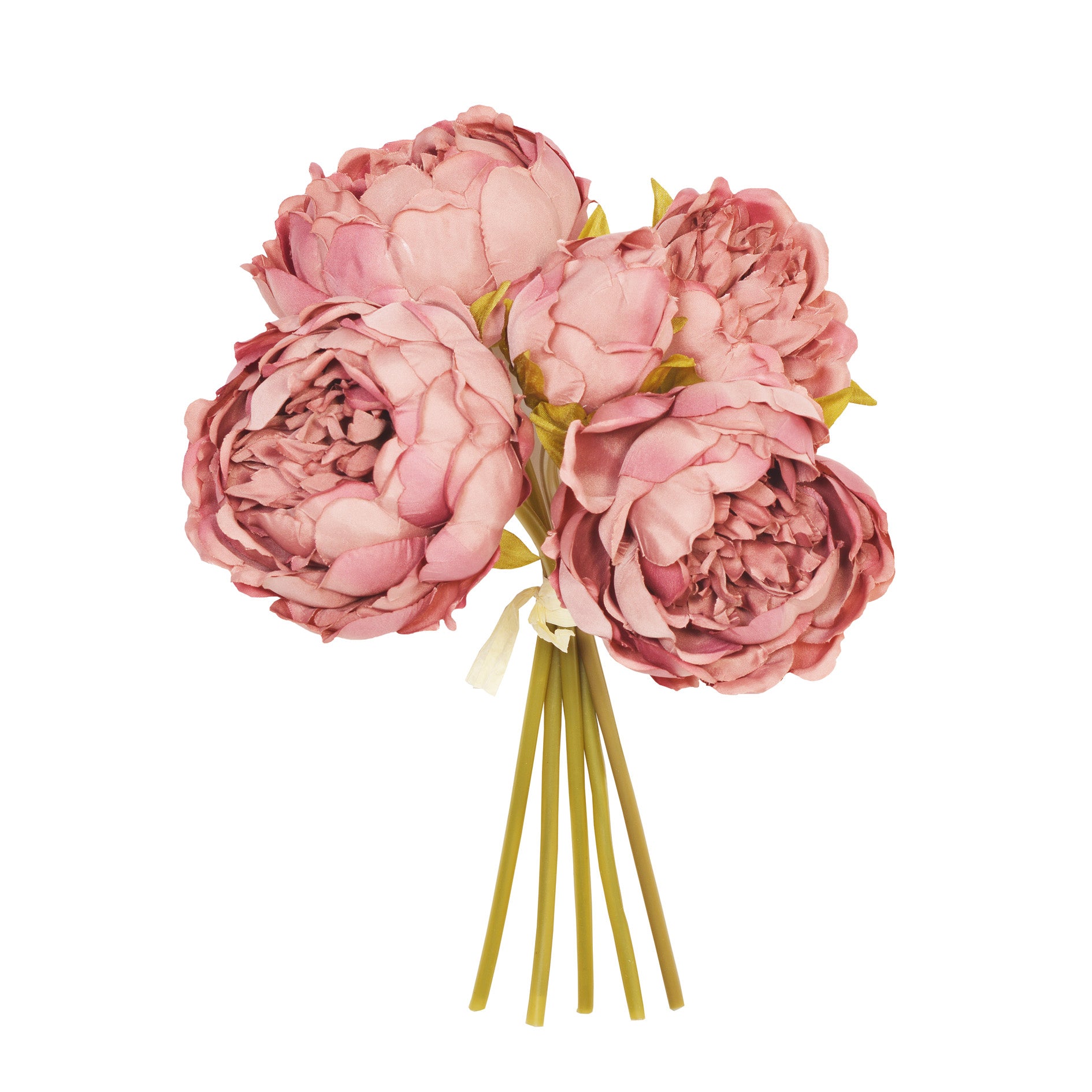 Puce Peonies