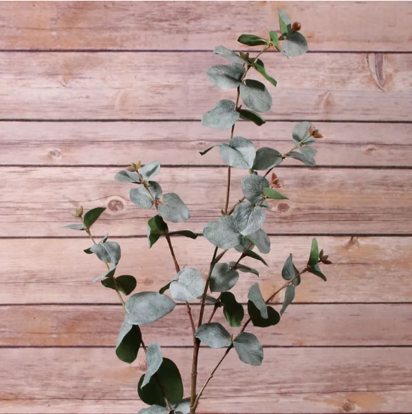 Large Eucalyptus Spray Dark Green