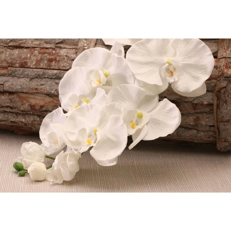Large White Orchid Spray
